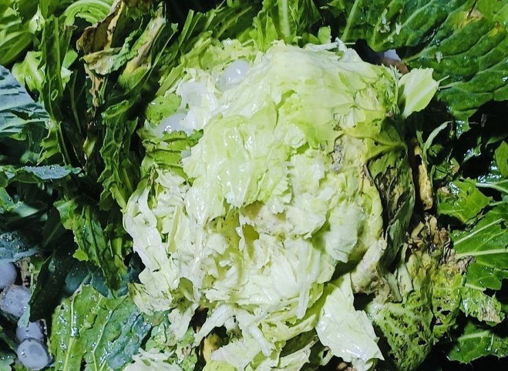 Mưa đá đập thủng kính xe, kéo sập nhà ở Bắc Hà - 8