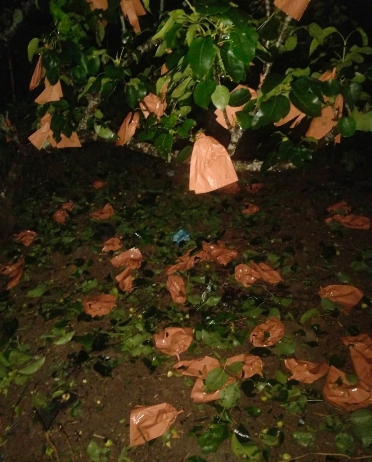 Mưa đá đập thủng kính xe, kéo sập nhà ở Bắc Hà - 7