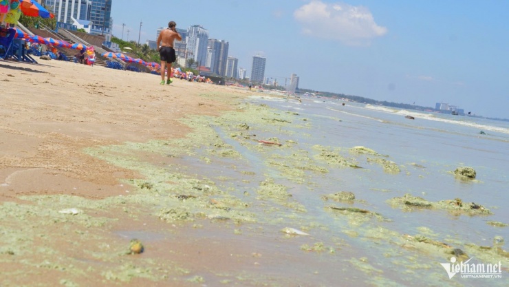 Nước biển có màu xanh khác lạ vào trưa ngày 4/4. Ảnh: Quang Hưng