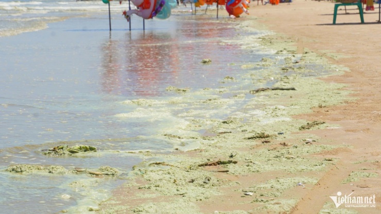 Nhiều người ví von màu nước biển như món đồ uống matcha. Ảnh: Quang Hưng