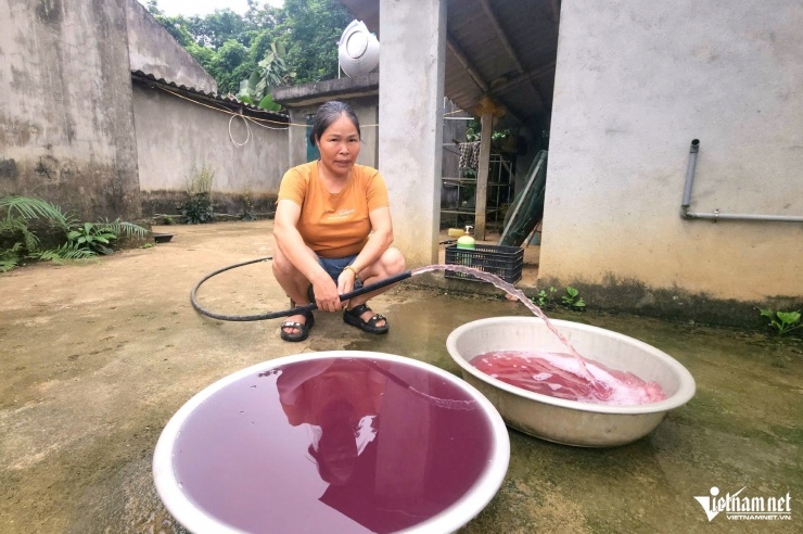 Nước giếng khoan bà Dung bơm vào chậu có màu tím. Ảnh: Lê Dương