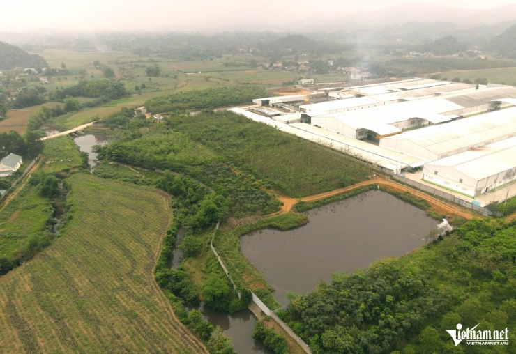 Bước đầu xác định, nguyên nhân do sự cố trong quá trình xả thải của Công ty TNHH BOB Hà Nội - Chi nhánh 1. Ảnh: Lê Dương