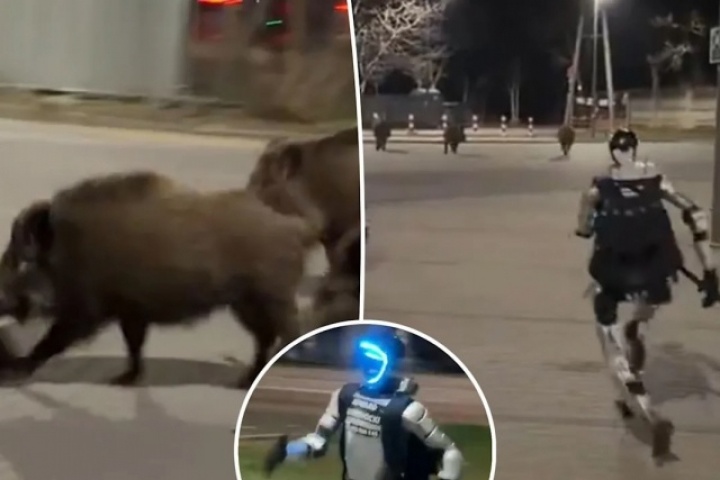 Clip robot hình người truy đuổi đàn lợn rừng gây bão mạng xã hội