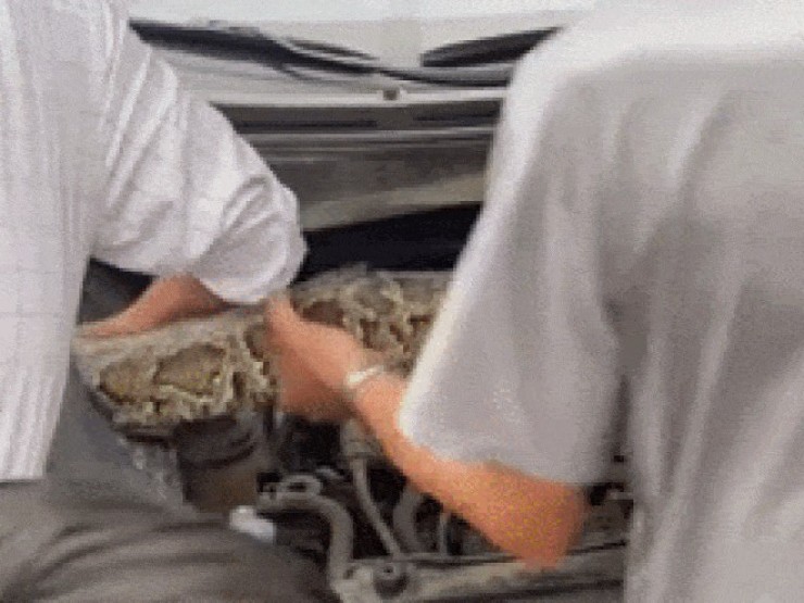 Lào Cai: Chủ xe Hyundai Tucson kinh hãi phát hiện trăn khổng lồ trong khoang máy