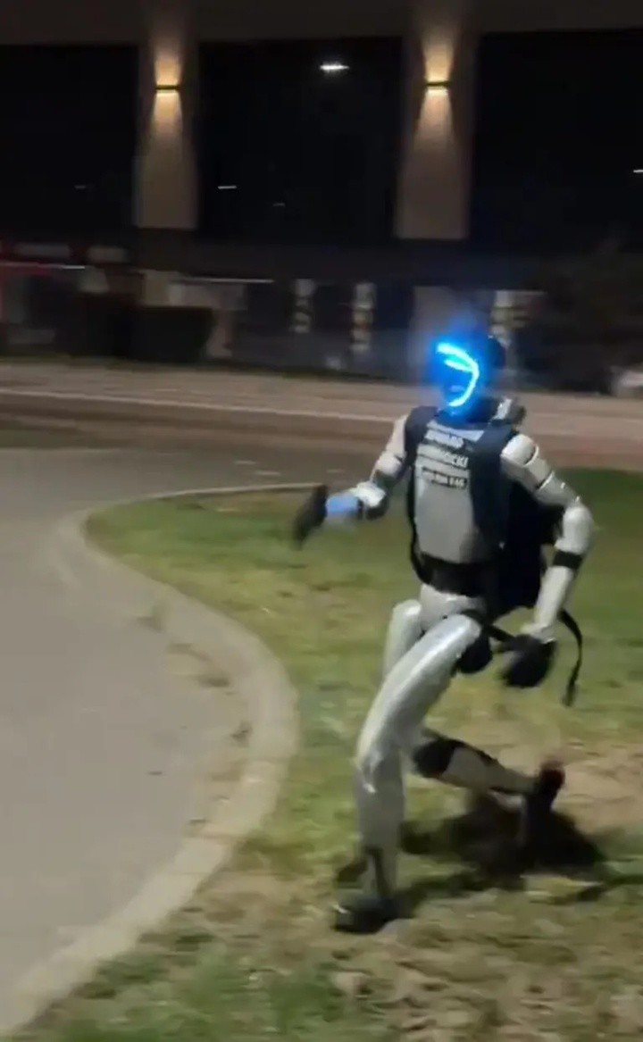 Robot đuổi theo đàn lợn rừng băng qua bãi đậu xe.