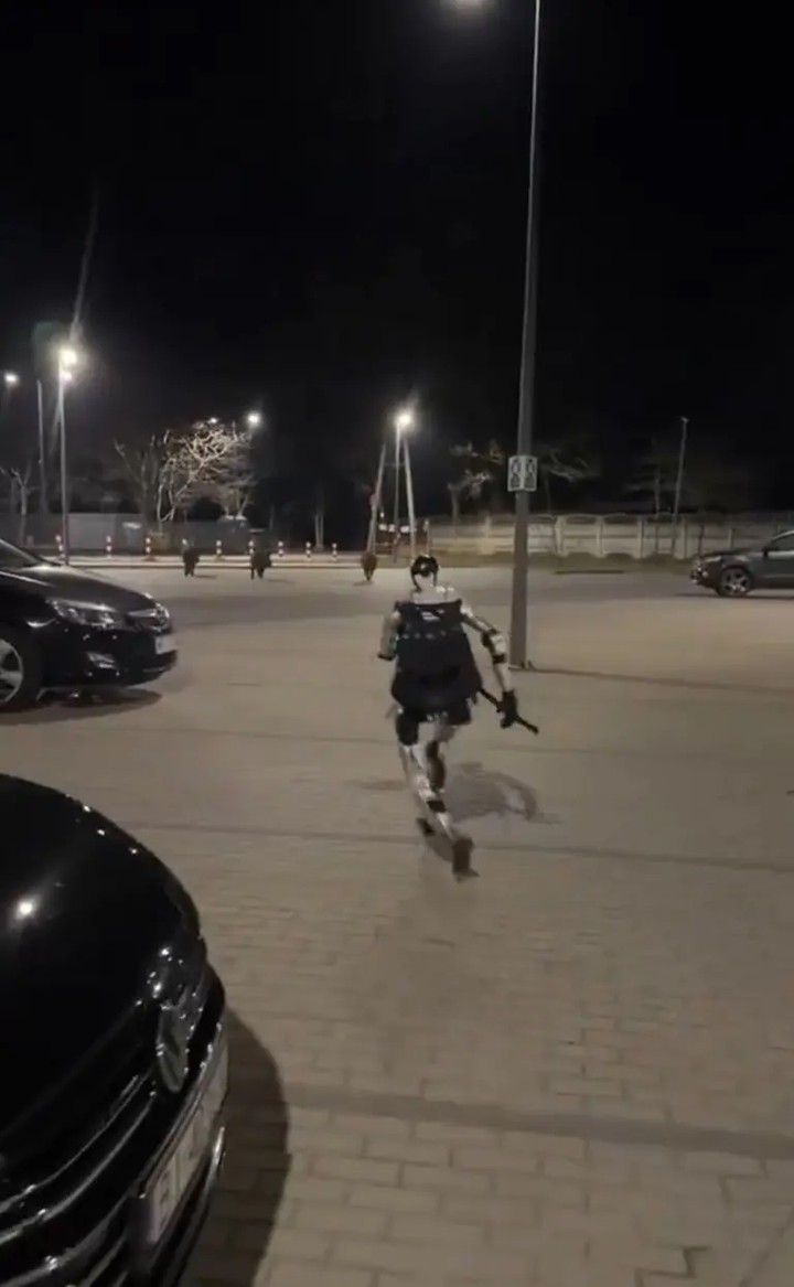 Robot hình người là một người máy nổi tiếng trên mạng xã hội ở Ba Lan.