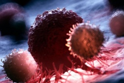 Y học thế giới tìm ra cách biến tế bào T thành 'siêu chiến binh' diệt ung thư