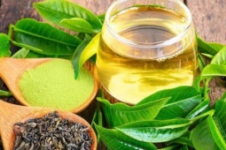 6 loại trà nên uống mùa hè hỗ trợ gan giải độc