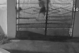 Chó lạ hung hãn tấn công 3 phụ nữ đi tập thể dục