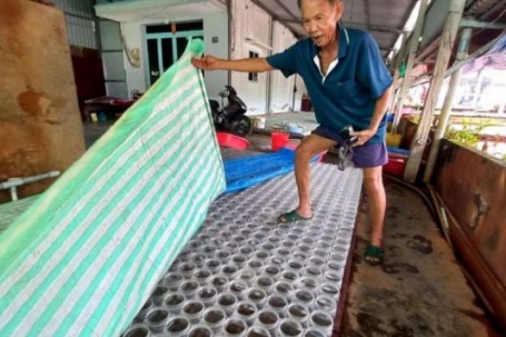 Nuôi loài cá cảnh được ưa chuộng nhất thế giới, nhiều nông dân TP.HCM đổi vận