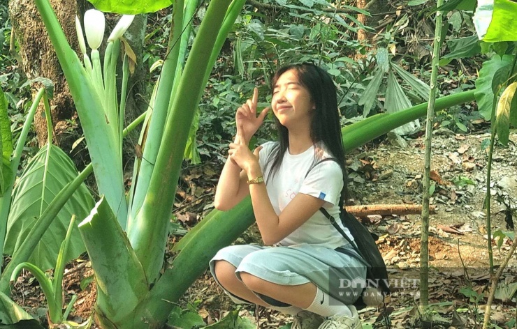 Một bạn trẻ "thả hồn" vào khung cảnh thiên nhiên ở Cúc Phương. Ảnh: Vũ Thượng