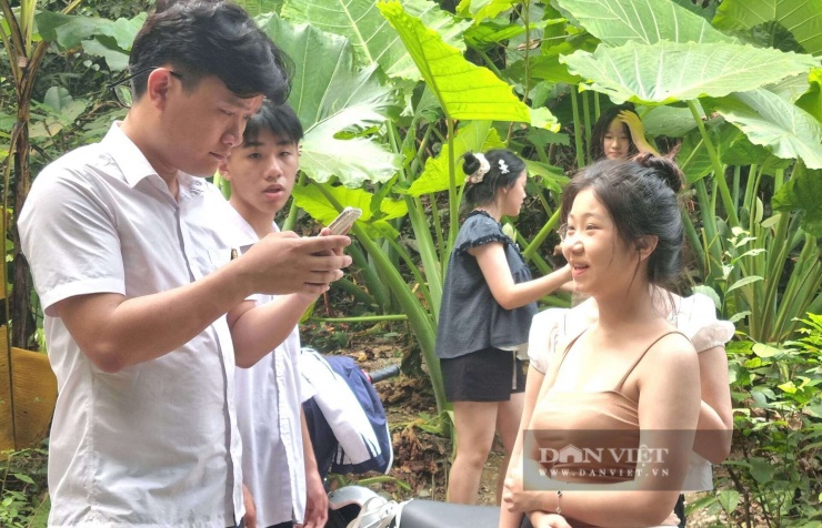 Du khách say mê lưu lại những hình ảnh đẹp chụp cạnh cây ráy. Ảnh: Vũ Thượng