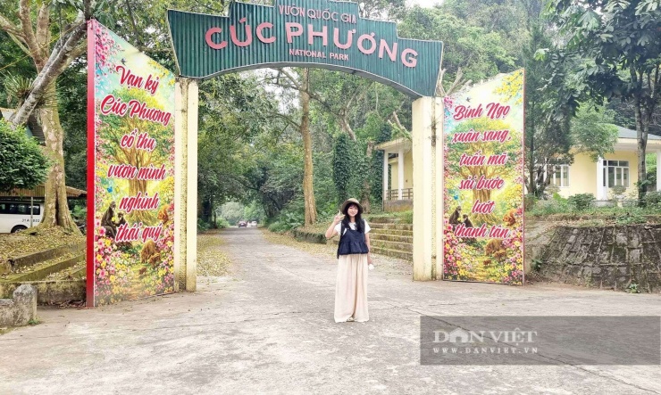 Vườn Quốc gia Cúc Phương là khu bảo tồn thiên nhiên và rừng đặc dụng nằm trên ranh giới ba tỉnh Ninh Bình, Phú Thọ và Thanh Hóa, cổng chính của vườn nằm ở tỉnh Ninh Bình. Đây cũng là vườn quốc gia đầu tiên tại Việt Nam. Ảnh: Vũ Thượng
