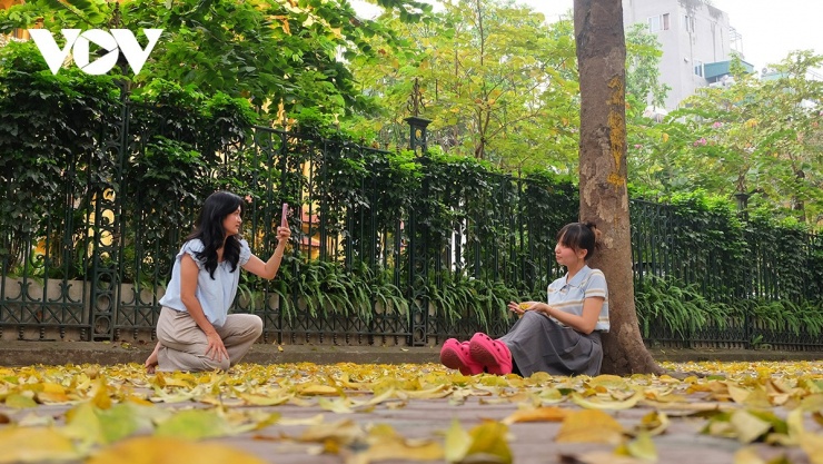 “Khi đi trên các con phố Hà Nội vào khoảng thời gian này không thể không lấy chiếc điện thoại ra quay, chụp lại những khoảnh khắc lá sấu rụng, hoặc đơn giản là để ngắm nhìn”, một bạn trẻ chia sẻ.