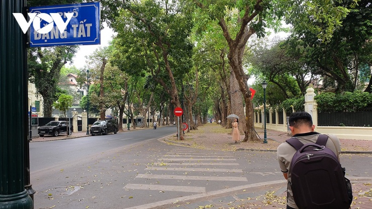 Phố Hà Nội đẹp dịu dàng mùa sấu rụng lá - 18