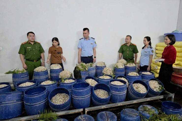 Cơ sở sản xuất giá đỗ của Phạm Thị Quỳnh. Ảnh: Công an tỉnh Quảng Ninh