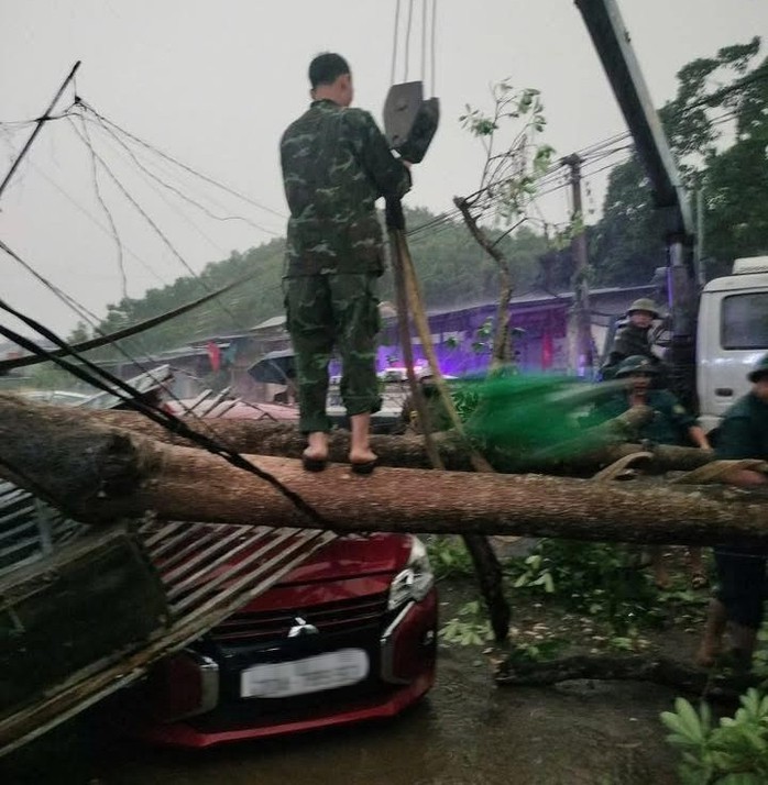 Dông lốc gây đổ cây đè trúng ô tô ở Thái Nguyên sáng 17-4. Ảnhh: OFFB