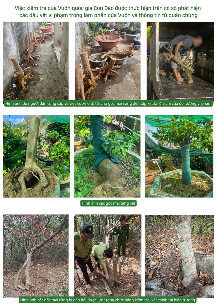 Hình ảnh vụ việc được lực lượng chức năng xác minh