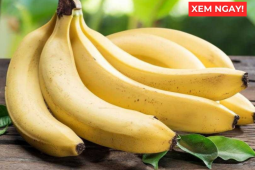 Tin tức sức khỏe - Thời điểm ăn chuối tốt hơn cả thuốc bổ, giúp phổi thông thoáng, ho giảm, đàm loãng và thở dễ hơn