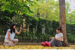 Phố Hà Nội đẹp dịu dàng mùa sấu rụng lá