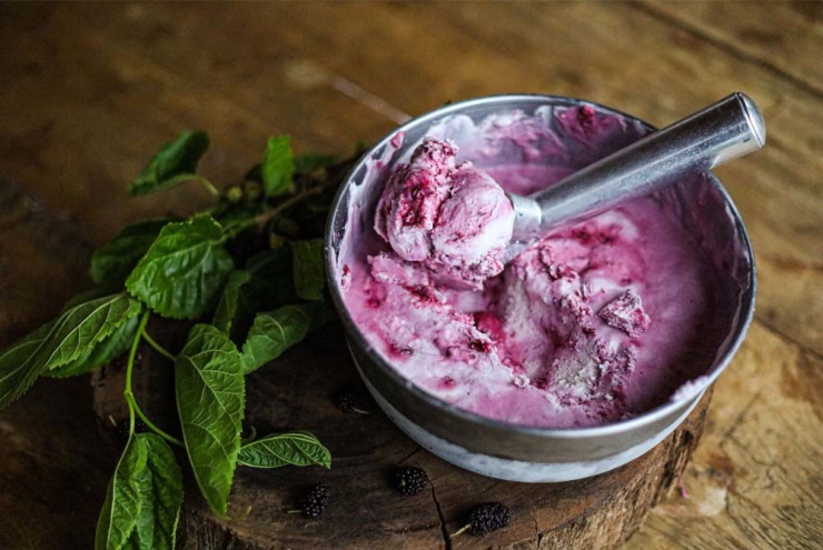 Dùng dâu tằm làm nguyên liệu trị mụn trứng cá hiệu quả nhờ có chất kháng viêm.