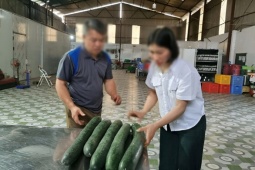 Tiết lộ khoản 'hoa hồng' cho hiệu trưởng để tuồn thịt lợn bệnh vào trường học