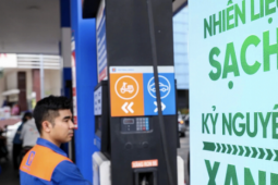 Xăng E10 có ảnh hưởng tiêu cực đến xe động cơ đốt trong như lời đồn?