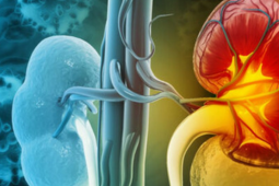 Dấu hiệu cảnh báo suy thận: Đi bộ thấy biểu hiện này cần đặc biệt lưu ý