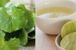 Mẹo chữa nám da từ rau má