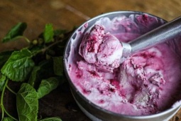 Đánh bay mụn trứng cá từ quả dâu tằm