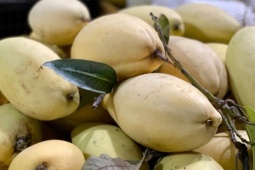 Một loại quả Việt bán đầy chợ giá rẻ bèo, xuất khẩu sang nước ngoài bán đắt như ‘vàng’