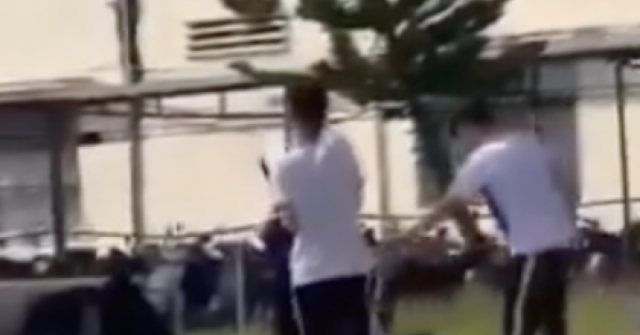 Vụ nữ sinh lớp 10 bị “đánh hội đồng” ở Gia Lai: Sự thật ra sao?