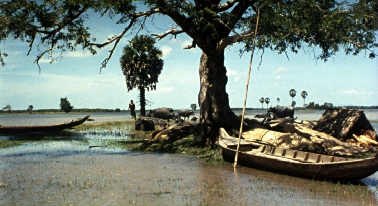 Đóng phim cùng… 300 con trâu, dàn sao Việt kể chuyện “dở khóc dở cười” - 3