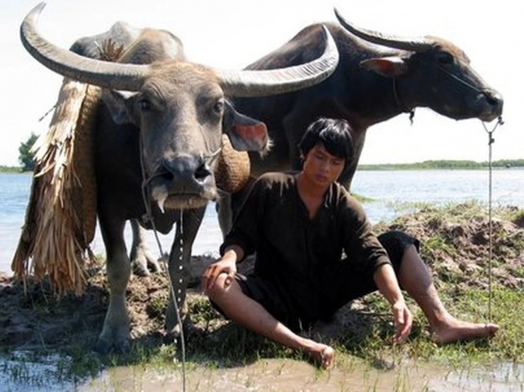 “Mùa len trâu” được xem là một trong những dấu ấn đặc biệt của điện ảnh Việt đầu những năm 2000