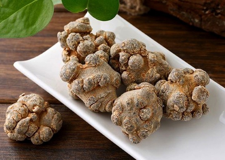 Tam thất từ xưa đã được biết đến với giá trị y học vượt trội, mang lại khả năng hồi phục sức khỏe và phòng chống bệnh tật toàn diện. (Ảnh minh họa).