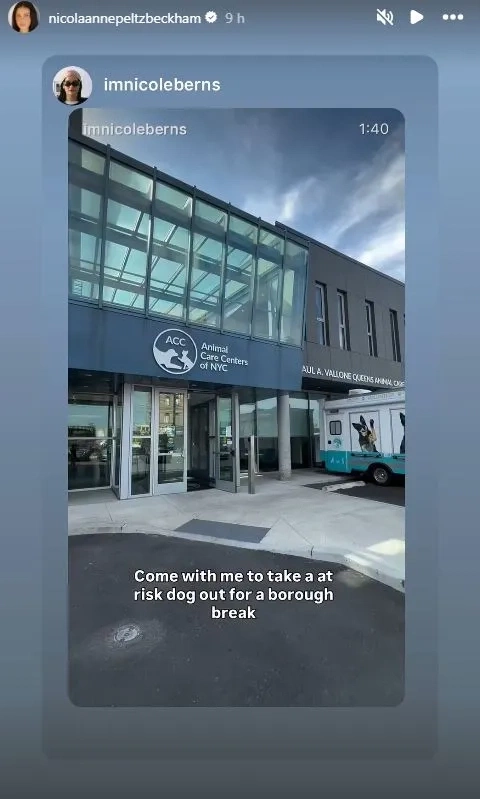 Con dâu nhà Becks chia sẻ đoạn video về trại cứu hộ chó vào ngày sinh nhật mẹ chồng.