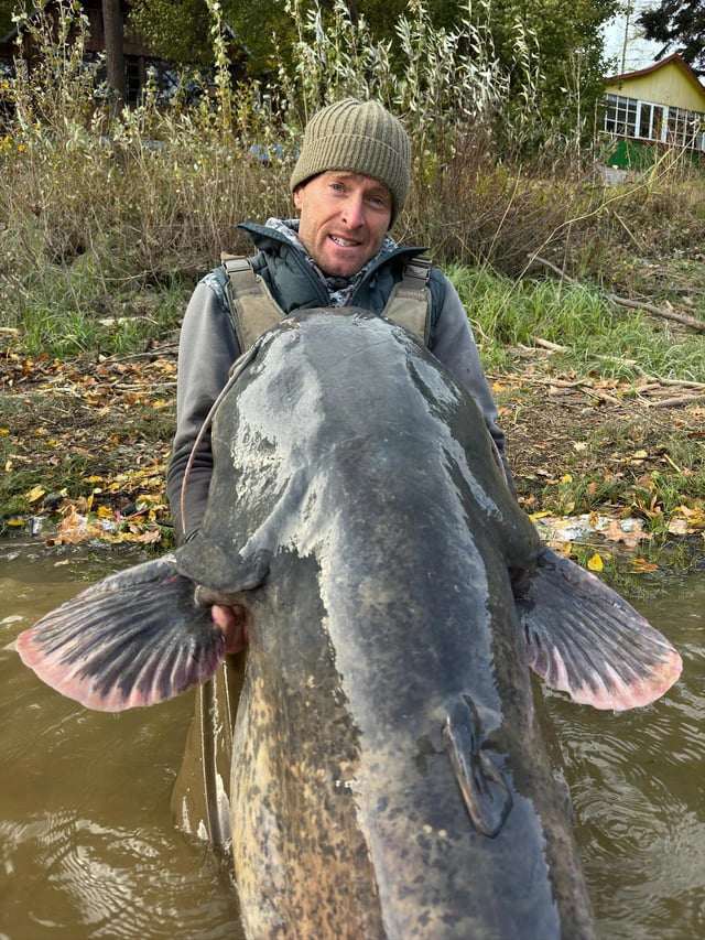 Clip: Ngư dân vật lộn với "quái ngư" cá trê khổng lồ dài 2,5 mét trên sông - 2