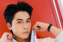 'Tổng tài' hot nhất màn ảnh Việt cầu xin khán giả