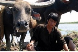 Đóng phim cùng… 300 con trâu, dàn sao Việt kể chuyện “dở khóc dở cười”