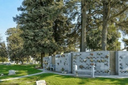 “Thế giới sự sống” gây sốc bên dưới nghĩa trang New York