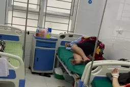 Sức khỏe của hơn 20 người nhập viện nghi ngộ độc bánh mì ở Nghệ An