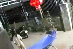 Một trưởng thôn bị đâm tử vong