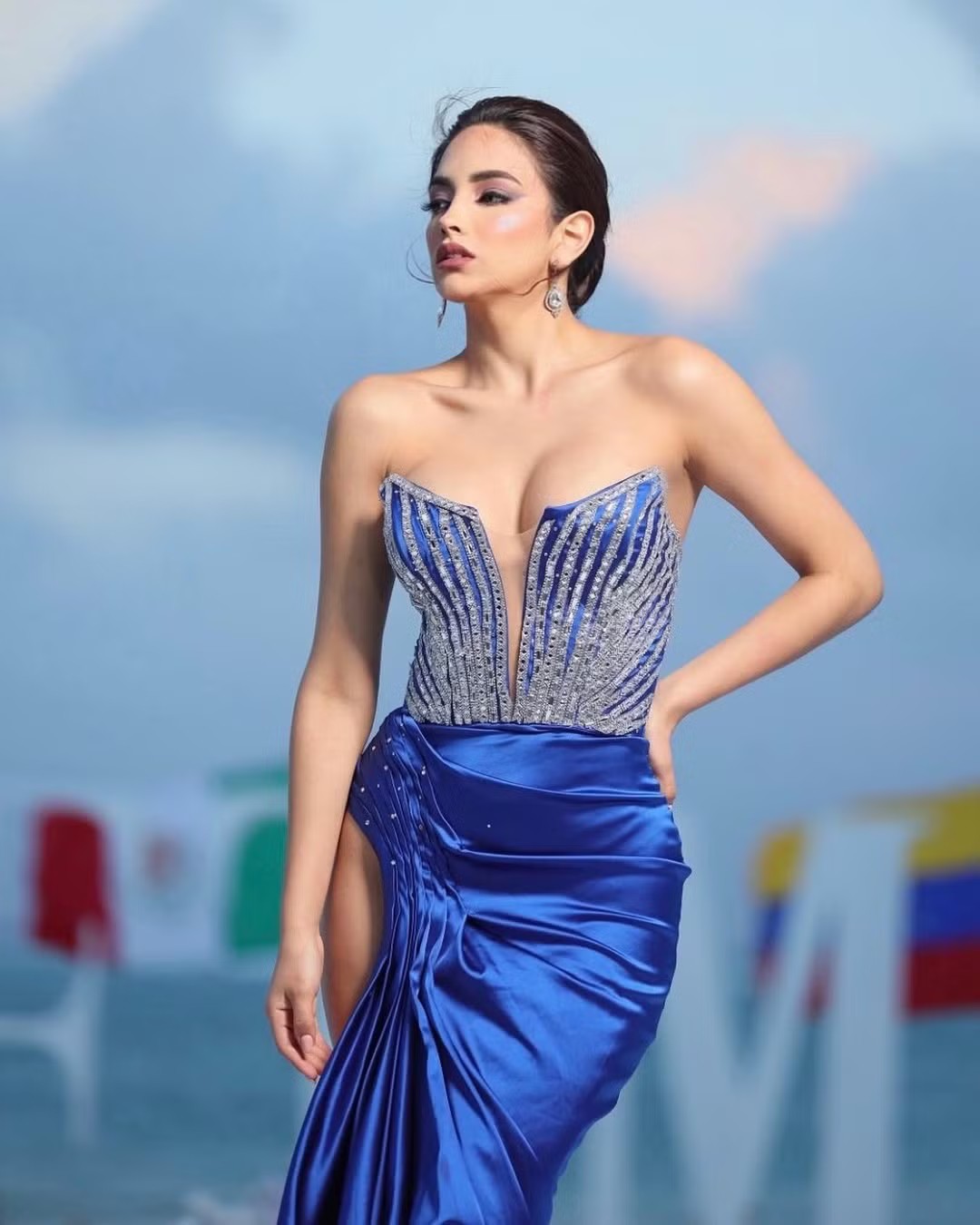 Ứng viên tiềm năng của Hoa hậu Hoàn vũ 2026 - 9