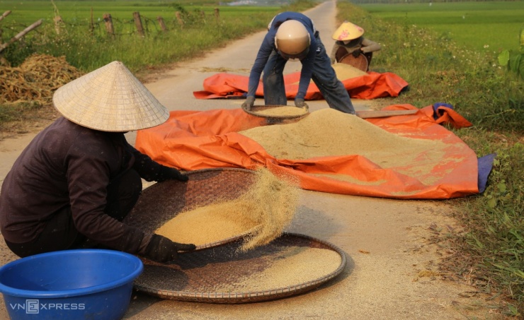 Mùa kê vàng bên sông Son - 9