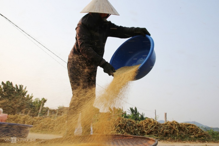 Mùa kê vàng bên sông Son - 10