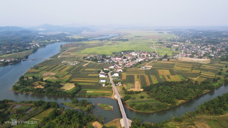 Nông dân cắt bông kê lấy hạt. Video: Đắc Thành