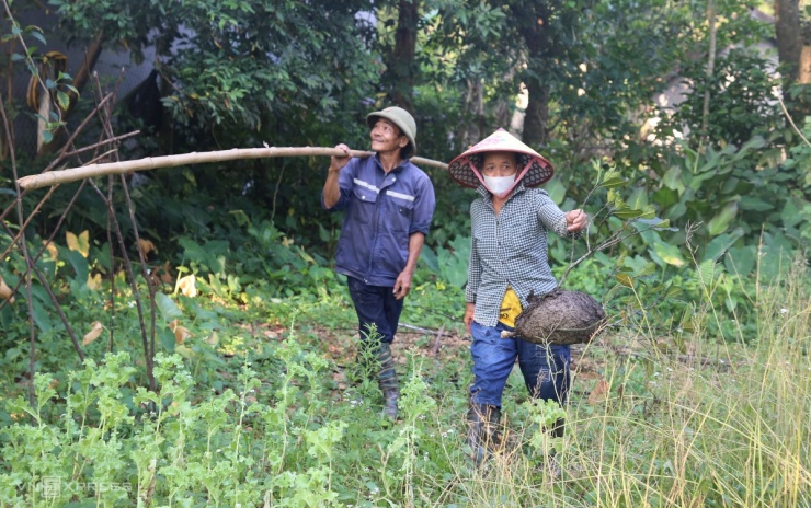 Mùa săn trứng kiến ở miền núi Quảng Trị - 1