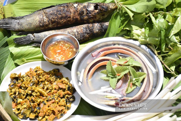 Món cá dày rang muối thường được dùng chung với lươn đồng nấu chua, hay kho khô sả ớt; đây là những món ăn dân dã ở các vùng quê ngọt hoá của tỉnh Cà Mau cũng như miền Tây Nam bộ, nhưng "hút hồn" du khách thập phương. Ảnh: Vũ Linh