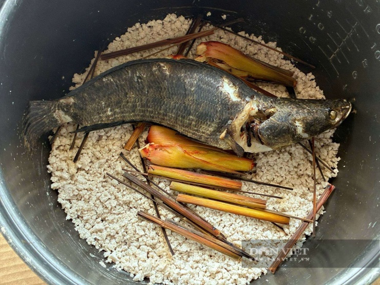 Để chế biến, người ta cho một lớp muối hột vào trong nồi, cá dày được bỏ lên lớp muối đó, rồi cho thêm vài nhánh sả đập dập và bắt lửa nhỏ đến khi nào muối trong nồi hết nổ là lúc cá chính. Ảnh: Vũ Linh