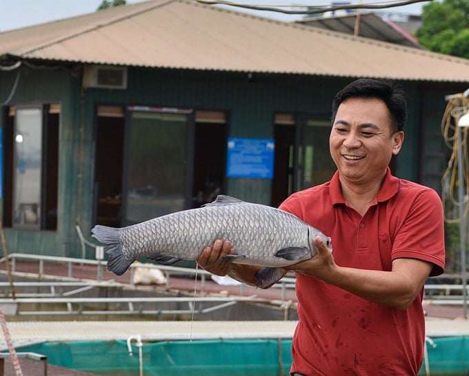 Dù là loại cá giàu giá trị, việc chế biến cá trắm đen không đúng cách có thể khiến món ăn giảm chất lượng, thậm chí ảnh hưởng đến sức khỏe. Ảnh: Dương Đình Tường.